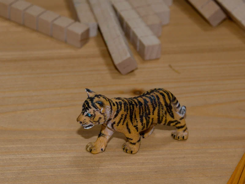 Lern- und Kreativmaterial für Kinder und Jugendliche
